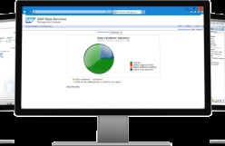SAP Data Services
